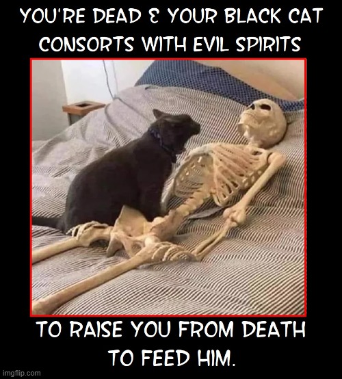 Your commitment to a black cat continues after death | image tagged in vince vance,cats,black cats,skeleton,death bed,funny cat memes | made w/ Imgflip meme maker