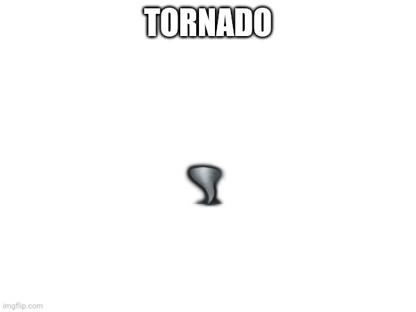 Tornado in florida | 🌪; TORNADO | image tagged in tornado | made w/ Imgflip meme maker