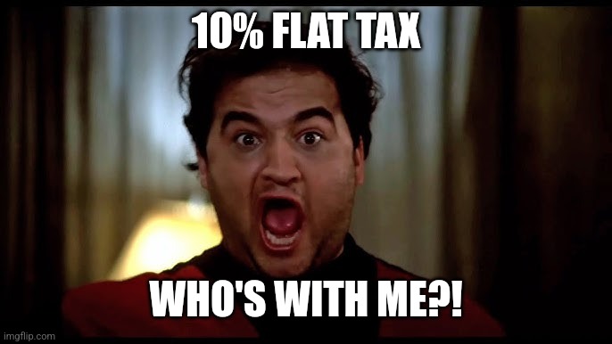 10% FLAT TAX; WHO'S WITH ME?! | image tagged in funny memes | made w/ Imgflip meme maker