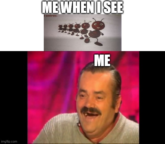 funny ant | ME WHEN I SEE; ME | image tagged in spanish laughing guy risitas | made w/ Imgflip meme maker