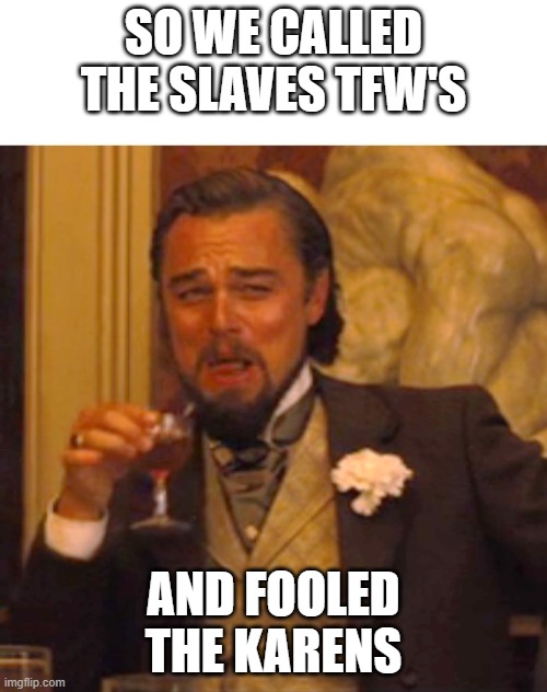 Leonardo dicaprio django laugh | SO WE CALLED THE SLAVES TFW'S; AND FOOLED THE KARENS | image tagged in leonardo dicaprio django laugh | made w/ Imgflip meme maker