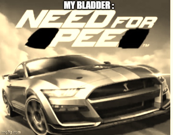 peeing | MY BLADDER : | image tagged in need for pee 1 | made w/ Imgflip meme maker