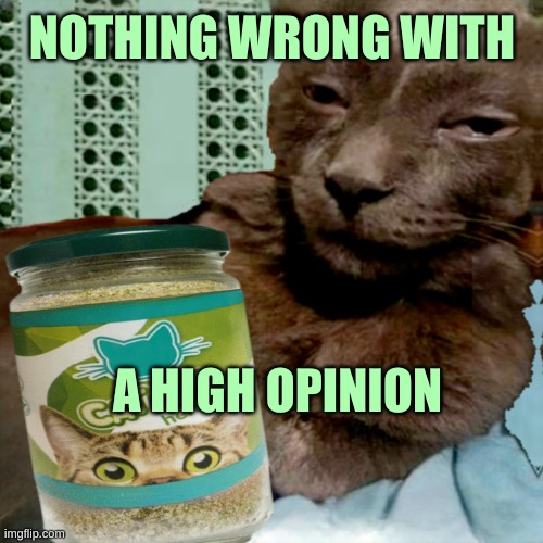 Shit Poster 4 Lyfe | NOTHING WRONG WITH; A HIGH OPINION | image tagged in shit poster 4 lyfe,self esteem,it's time to start asking yourself the big questions meme,dank,catnip,high | made w/ Imgflip meme maker