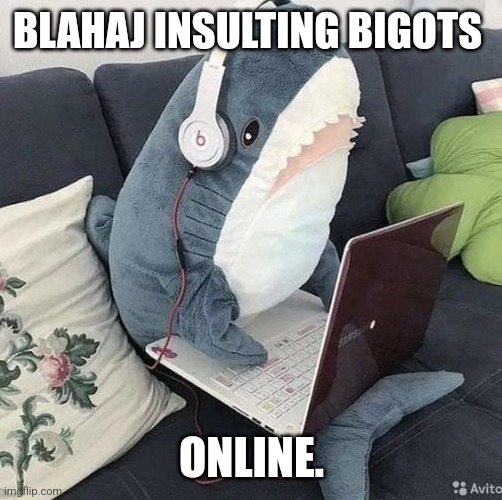 Blahaj online | BLAHAJ INSULTING BIGOTS; ONLINE. | image tagged in computer blahaj | made w/ Imgflip meme maker