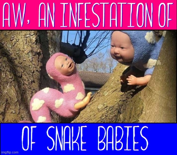 Look, up in the tree! it's a boy... it's a girl... no, it's snake babies | image tagged in vince vance,cursed image,snake,babies,in a tree,memes | made w/ Imgflip meme maker