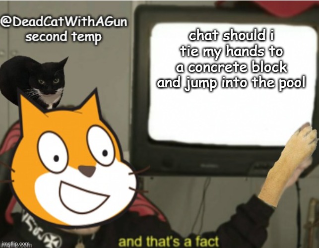 the punchline is suicide | chat should i tie my hands to a concrete block and jump into the pool | image tagged in deadcatwithagun announcement temp 2 | made w/ Imgflip meme maker