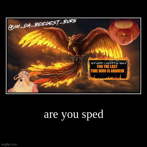are you sped | | image tagged in demotivationals | made w/ Imgflip demotivational maker