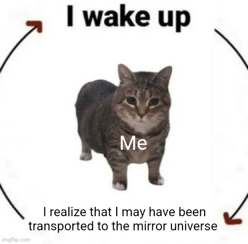 I'm trapped in the Mirror universe | Me; I realize that I may have been transported to the mirror universe | image tagged in i wake up cat,jpfan102504,sci-fi | made w/ Imgflip meme maker