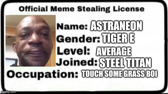 Meme Stealing License | ASTRANEON; TIGER E; AVERAGE; STEEL TITAN; TOUCH SOME GRASS BOI | image tagged in meme stealing license | made w/ Imgflip meme maker