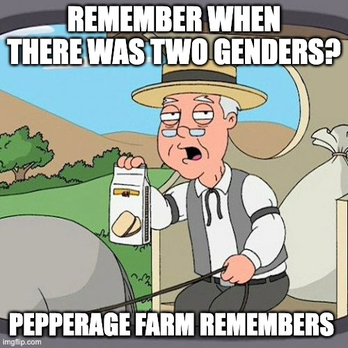 Pepperidge Farm Remembers Meme | REMEMBER WHEN THERE WAS TWO GENDERS? PEPPERAGE FARM REMEMBERS | image tagged in memes,pepperidge farm remembers | made w/ Imgflip meme maker