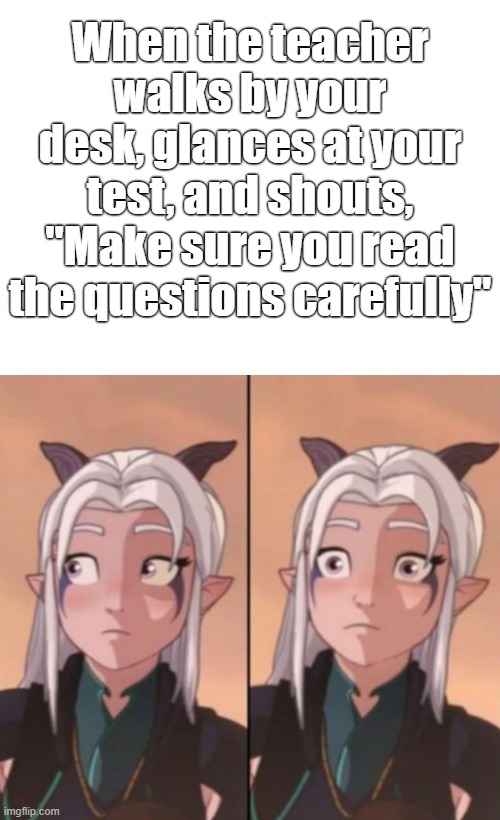 Embarrassing | When the teacher walks by your desk, glances at your test, and shouts, "Make sure you read the questions carefully" | image tagged in the dragon prince,rayla,school,test,unhelpful high school teacher,embarrassing | made w/ Imgflip meme maker