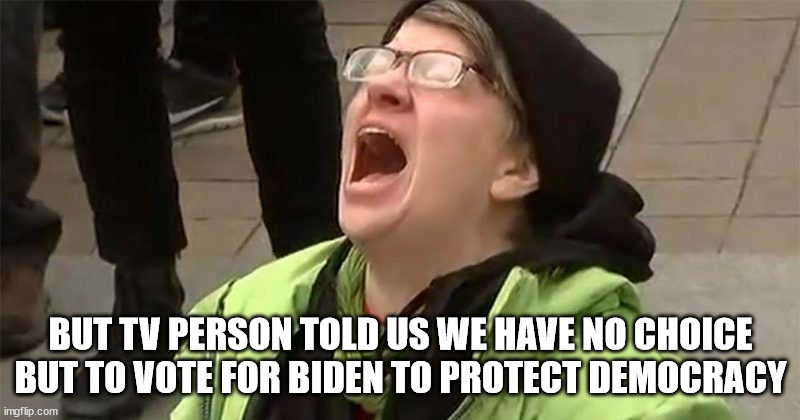 crying liberal | BUT TV PERSON TOLD US WE HAVE NO CHOICE BUT TO VOTE FOR BIDEN TO PROTECT DEMOCRACY | image tagged in crying liberal | made w/ Imgflip meme maker