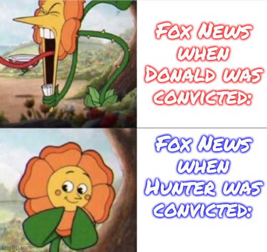 Unfair and imbalanced. | Fox News
when Donald was
convicted:; Fox News
when Hunter was convicted: | image tagged in flower,conservative hypocrisy,contradiction,biased media,fake news | made w/ Imgflip meme maker