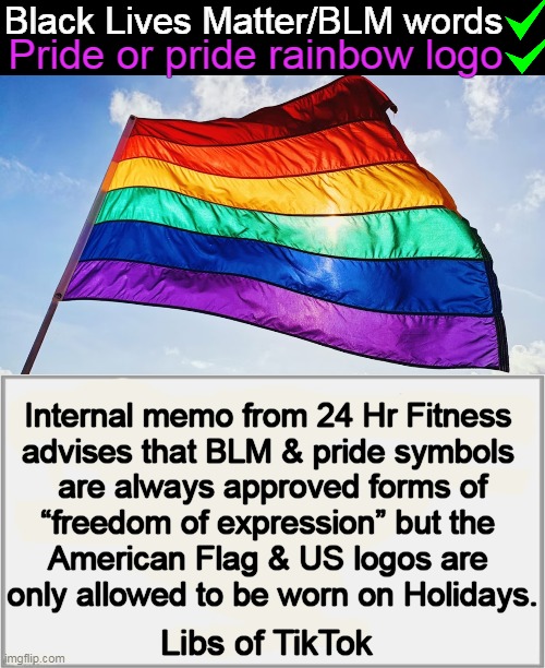 “US Flag or US logo” only on federal holidays like Memorial Day, Flag Day, July 4th, Veterans Day, Patriots Day, etc. | Black Lives Matter/BLM words; Pride or pride rainbow logo; Internal memo from 24 Hr Fitness 

advises that BLM & pride symbols 

are always approved forms of

“freedom of expression” but the 

American Flag & US logos are 

only allowed to be worn on Holidays. Libs of TikTok | image tagged in politics,blm,pride,freedom of expression,american flag,sometimes | made w/ Imgflip meme maker