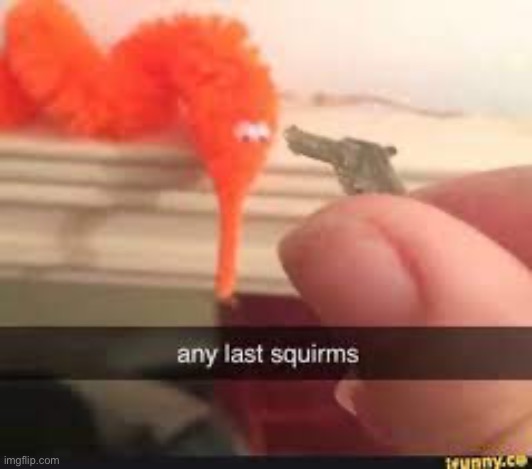 any last squirms | image tagged in any last squirms | made w/ Imgflip meme maker
