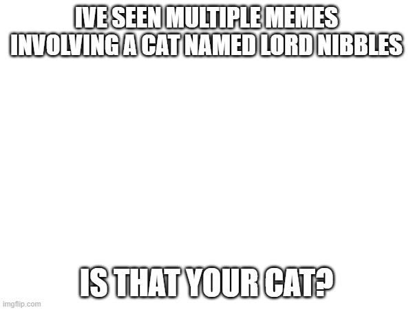 lord nibbles | IVE SEEN MULTIPLE MEMES INVOLVING A CAT NAMED LORD NIBBLES; IS THAT YOUR CAT? | image tagged in lord nibbles | made w/ Imgflip meme maker