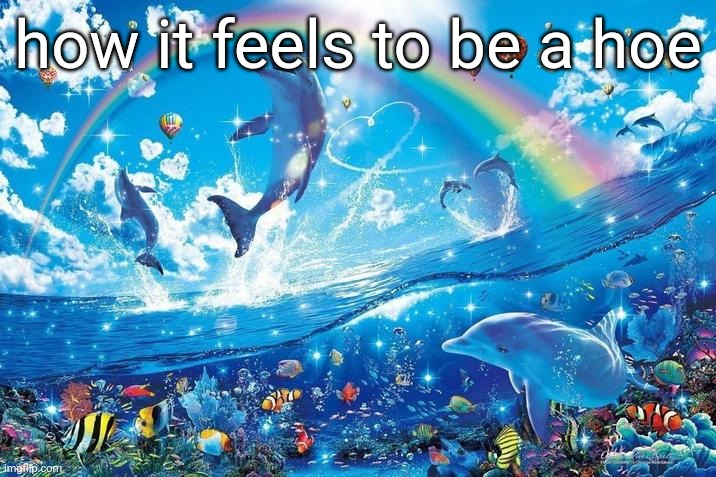Happy dolphin rainbow | how it feels to be a hoe | image tagged in happy dolphin rainbow | made w/ Imgflip meme maker
