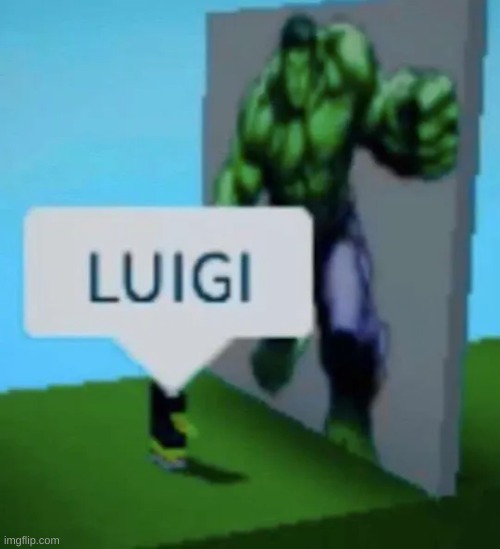 tf | image tagged in luigi | made w/ Imgflip meme maker