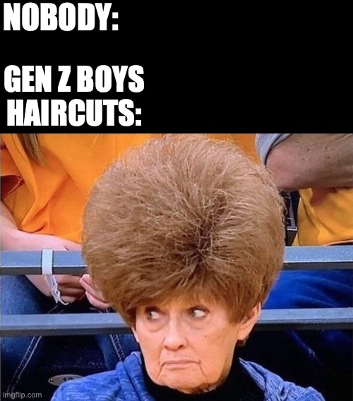 gen z boys be like | NOBODY:; GEN Z BOYS HAIRCUTS: | image tagged in memes,funny,nobody absolutely no one | made w/ Imgflip meme maker