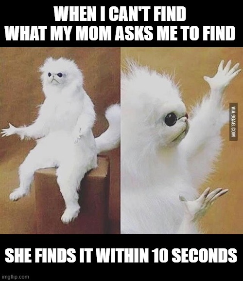 Finding Something for my Mom | WHEN I CAN'T FIND WHAT MY MOM ASKS ME TO FIND; SHE FINDS IT WITHIN 10 SECONDS | image tagged in confused white monkey | made w/ Imgflip meme maker