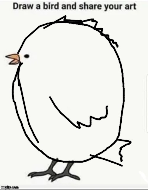 biggest bird | image tagged in draw a bird and share your art | made w/ Imgflip meme maker