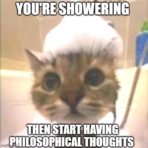 Philosophical Thoughts in Shower | YOU'RE SHOWERING; THEN START HAVING PHILOSOPHICAL THOUGHTS | image tagged in his dumbass is not taking a shower,shower | made w/ Imgflip meme maker