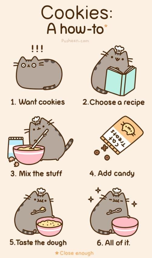 High Quality pusheen how-to Blank Meme Template