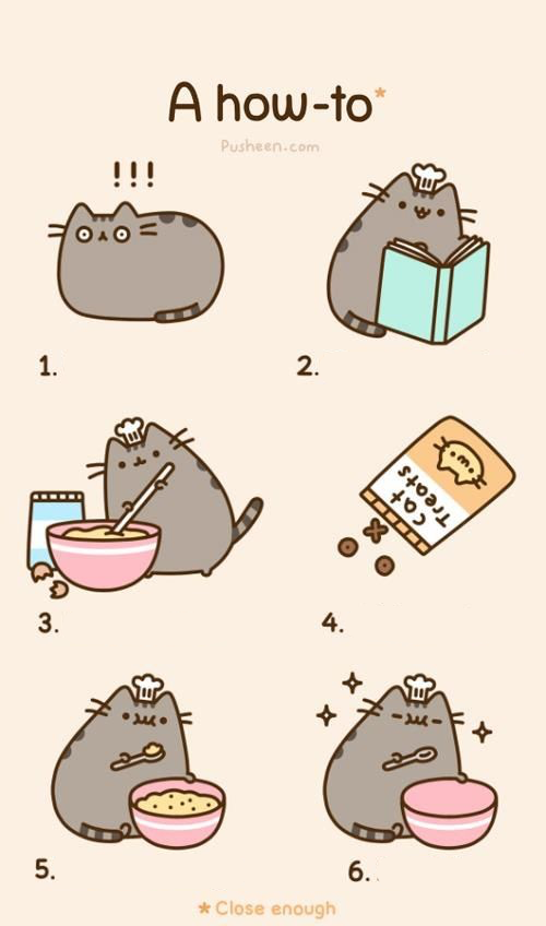 High Quality pusheen how-to Blank Meme Template