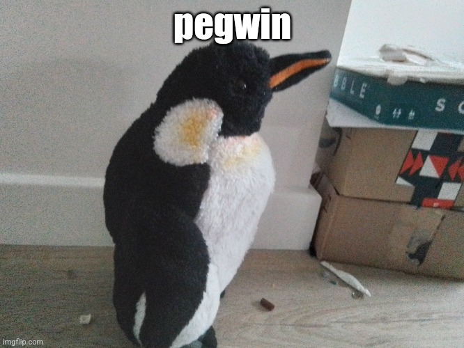 pegwin | made w/ Imgflip meme maker