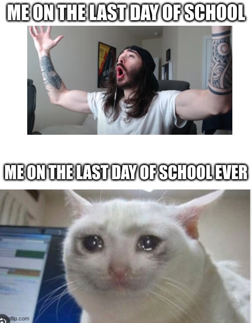 Last dayy | ME ON THE LAST DAY OF SCHOOL; ME ON THE LAST DAY OF SCHOOL EVER | image tagged in crying cat | made w/ Imgflip meme maker