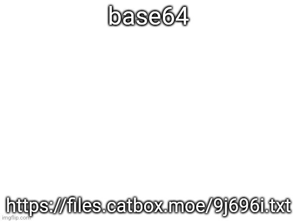 base64; https://files.catbox.moe/9j696i.txt | made w/ Imgflip meme maker