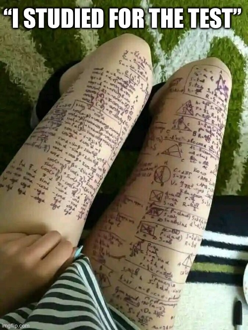 Study | “I STUDIED FOR THE TEST” | image tagged in study,test,legs | made w/ Imgflip meme maker