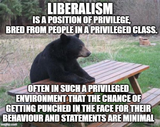 I dont have enough privilege to be a liberal | LIBERALISM; IS A POSITION OF PRIVILEGE, BRED FROM PEOPLE IN A PRIVILEGED CLASS. OFTEN IN SUCH A PRIVILEGED ENVIRONMENT THAT THE CHANCE OF GETTING PUNCHED IN THE FACE FOR THEIR BEHAVIOUR AND STATEMENTS ARE MINIMAL | image tagged in memes,bad luck bear | made w/ Imgflip meme maker