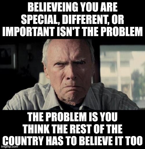 This basically sums up all of the victim narcissism sweeping the country. | BELIEVEING YOU ARE SPECIAL, DIFFERENT, OR IMPORTANT ISN'T THE PROBLEM; THE PROBLEM IS YOU THINK THE REST OF THE COUNTRY HAS TO BELIEVE IT TOO | image tagged in mad clint eastwood,important,modern problems,21st century,in real life,expectation vs reality | made w/ Imgflip meme maker