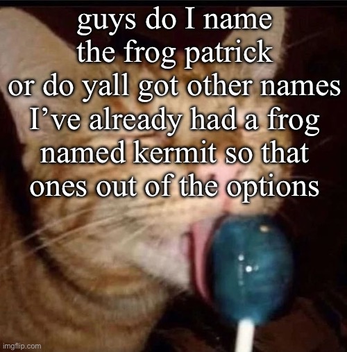 silly goober 2 | guys do I name the frog patrick or do yall got other names

I’ve already had a frog named kermit so that ones out of the options | image tagged in silly goober 2 | made w/ Imgflip meme maker
