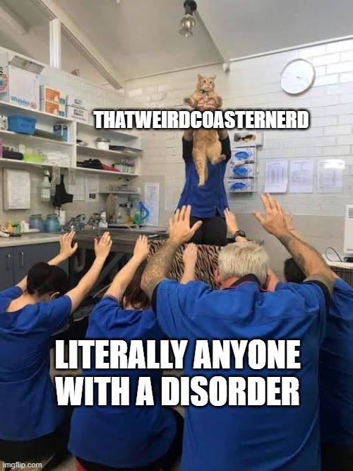 People Worshipping The Cat | THATWEIRDCOASTERNERD LITERALLY ANYONE WITH A DISORDER | image tagged in people worshipping the cat | made w/ Imgflip meme maker