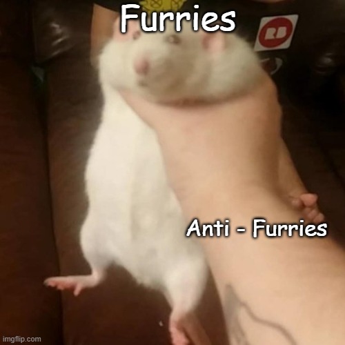 Die mfs | Furries; Anti - Furries | image tagged in grabbing a fat rat | made w/ Imgflip meme maker