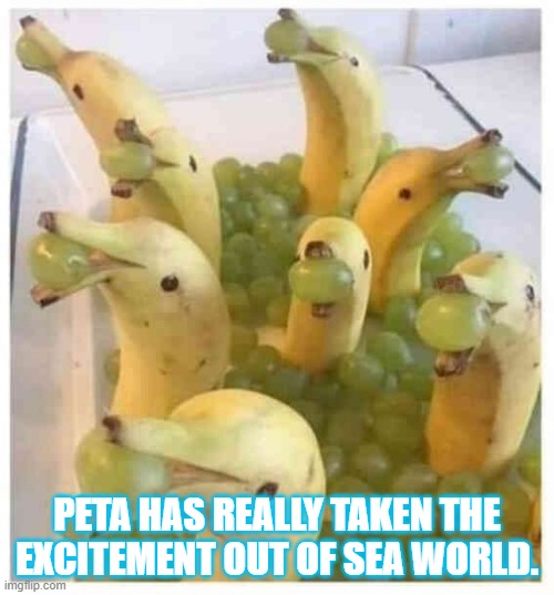 See World, Sea World | PETA HAS REALLY TAKEN THE EXCITEMENT OUT OF SEA WORLD. | image tagged in dolphins,animal rights,travel | made w/ Imgflip meme maker
