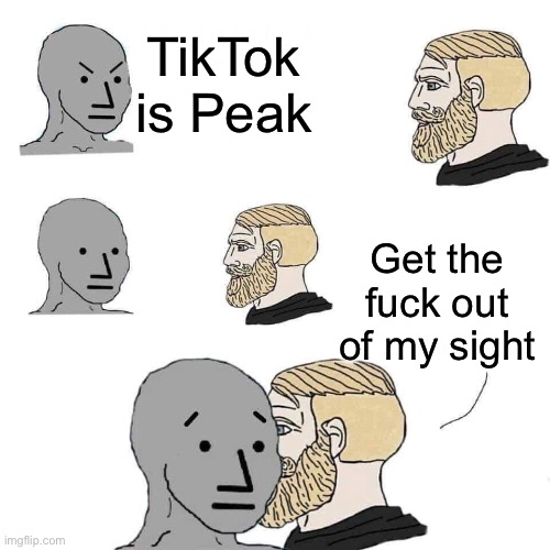 Chad approaching npc - Tiktok is Peak | TikTok is Peak; Get the fuck out of my sight | image tagged in chad approaching npc,tiktok | made w/ Imgflip meme maker