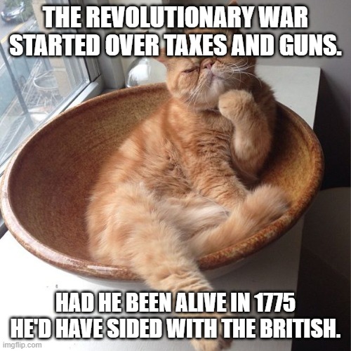 Wondering cat | THE REVOLUTIONARY WAR STARTED OVER TAXES AND GUNS. HAD HE BEEN ALIVE IN 1775 HE'D HAVE SIDED WITH THE BRITISH. | image tagged in wondering cat | made w/ Imgflip meme maker