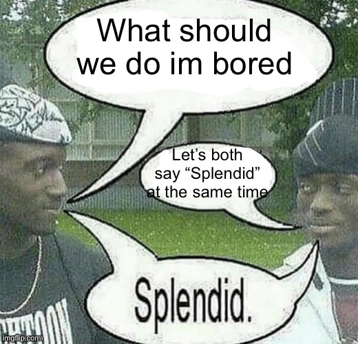 Splendid. | What should we do im bored; Let’s both say “Splendid” at the same time | image tagged in gyatt | made w/ Imgflip meme maker