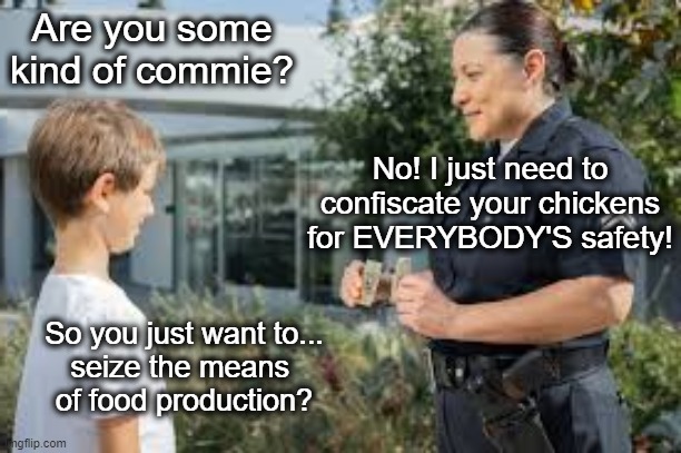 "But it's for SaFeTy!" | Are you some kind of commie? No! I just need to confiscate your chickens for EVERYBODY'S safety! So you just want to...
seize the means 
of food production? | made w/ Imgflip meme maker