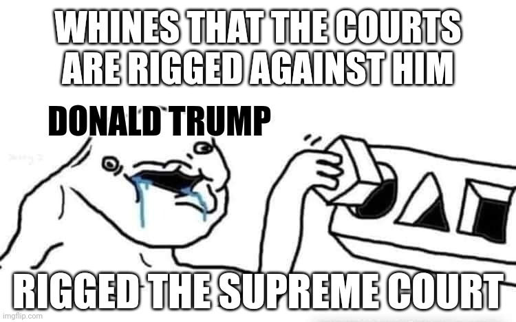 "The courts are rigged against me!" cries man who rigged court. | WHINES THAT THE COURTS ARE RIGGED AGAINST HIM; DONALD TRUMP; RIGGED THE SUPREME COURT | image tagged in stupid dumb drooling puzzle,donald trump,maga,rigged,supreme court,court | made w/ Imgflip meme maker