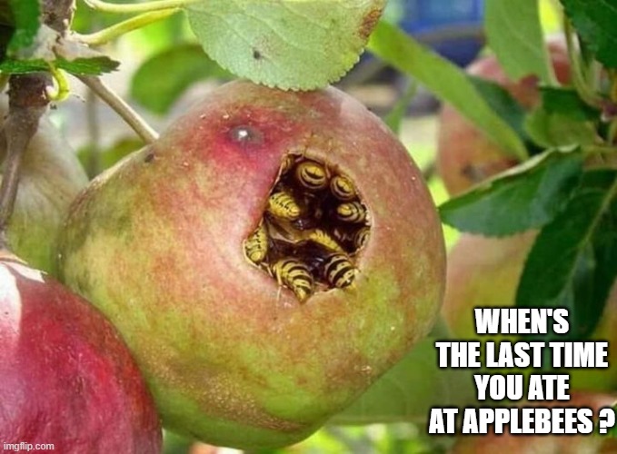 memes by Brad - When is the last time you ate at Applebees? - humor | WHEN'S THE LAST TIME YOU ATE AT APPLEBEES ? | image tagged in funny,fun,bees,apples,humor,restaurant | made w/ Imgflip meme maker