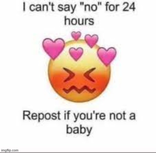 Can't say no for 24 hours | image tagged in can't say no for 24 hours,im not doing anything illegal,or harmful | made w/ Imgflip meme maker