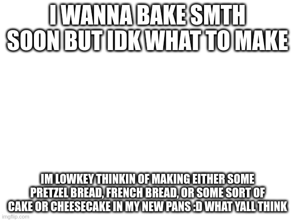 I WANNA BAKE SMTH SOON BUT IDK WHAT TO MAKE; IM LOWKEY THINKIN OF MAKING EITHER SOME PRETZEL BREAD, FRENCH BREAD, OR SOME SORT OF CAKE OR CHEESECAKE IN MY NEW PANS :D WHAT YALL THINK | made w/ Imgflip meme maker