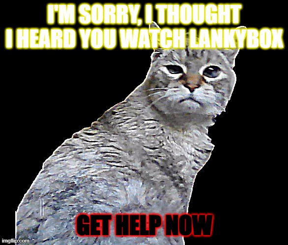 DUHEEL U SAY | I'M SORRY, I THOUGHT I HEARD YOU WATCH LANKYBOX; GET HELP NOW | image tagged in excuse me | made w/ Imgflip meme maker