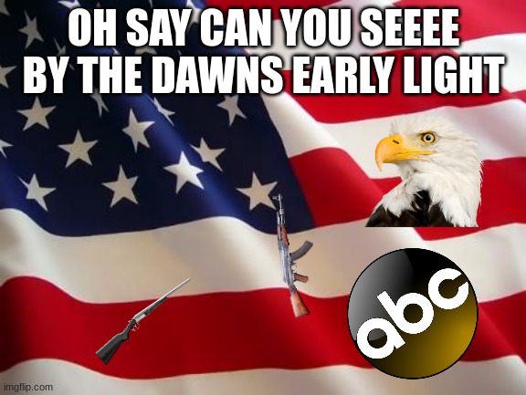American flag | OH SAY CAN YOU SEEEE BY THE DAWNS EARLY LIGHT | image tagged in american flag | made w/ Imgflip meme maker