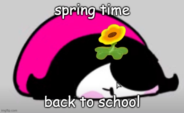 squam | spring time; back to school | image tagged in squam | made w/ Imgflip meme maker