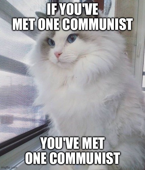 We're not all the same | IF YOU'VE MET ONE COMMUNIST; YOU'VE MET ONE COMMUNIST | image tagged in communism,leftist,socialist,communist,socialism | made w/ Imgflip meme maker